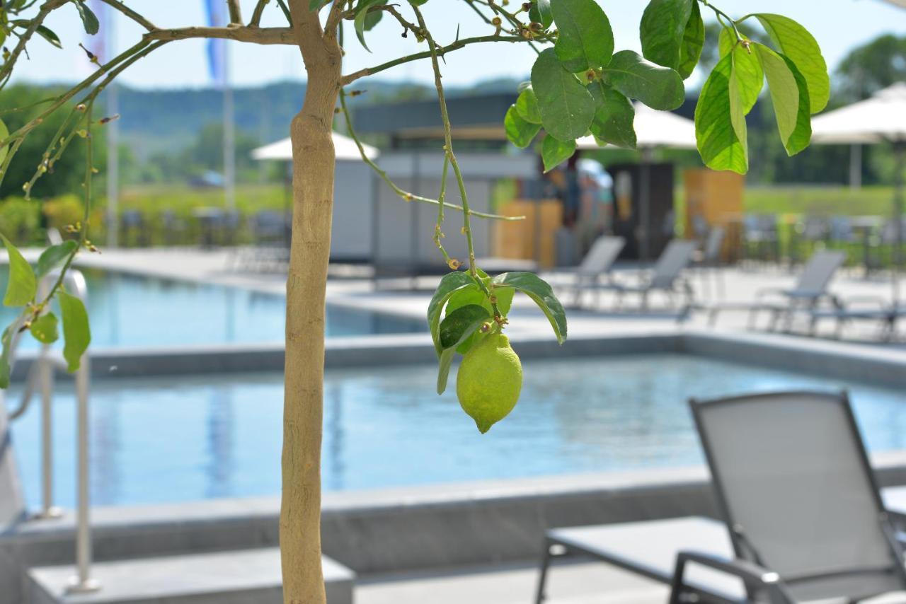 Mk Hotel Tirana Rinas Ngoại thất bức ảnh The swimming pool